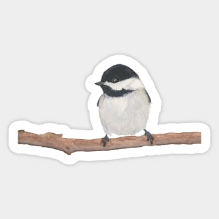 Chickadee - Watercolor Chickadee on a Branch Design - Gift for Bird Lovers Sticker